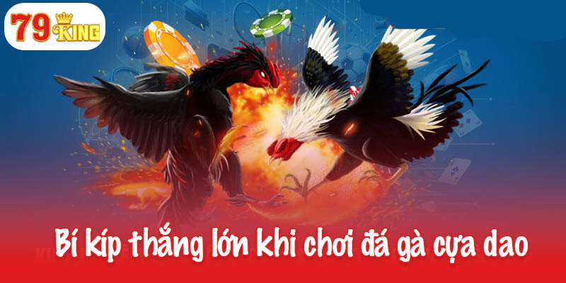 Đá gà cựa dao - Sự kết hợp giữa tinh thần chiến đấu và kỹ thuật 4 Bí kíp thắng lớn khi chơi đá gà cựa dao