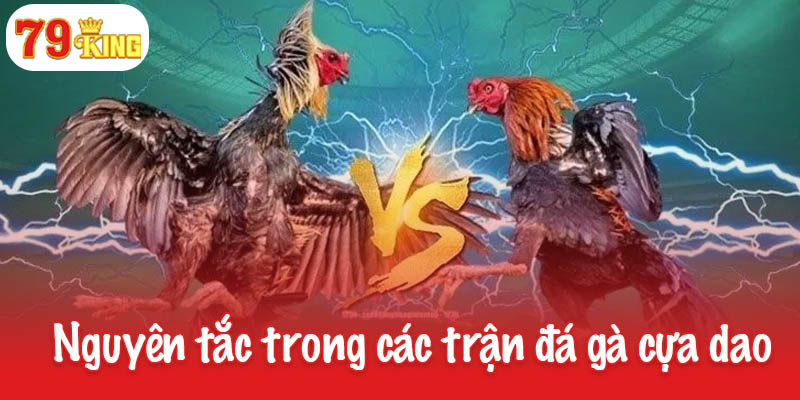 Đá gà cựa dao - Sự kết hợp giữa tinh thần chiến đấu và kỹ thuật 3 Nguyên tắc trong các trận đá gà cựa dao