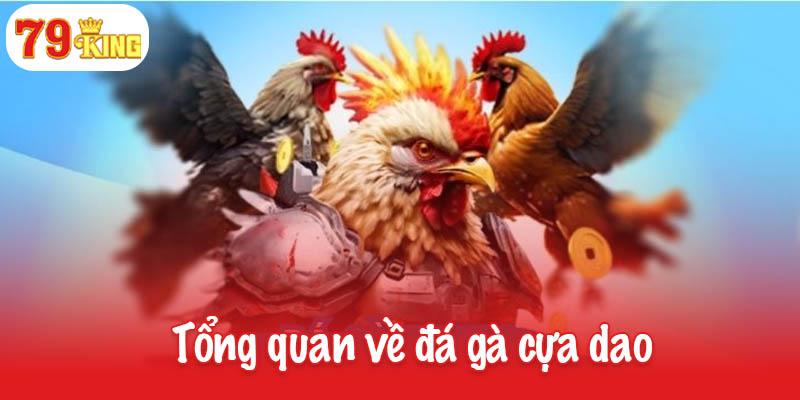 Đá gà cựa dao - Sự kết hợp giữa tinh thần chiến đấu và kỹ thuật 2 Tổng quan về đá gà cựa dao
