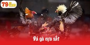 Đá gà cựa sắt
