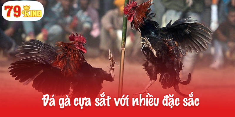 Đá gà cựa sắt - Môn giải trí đỉnh cao dành cho người đam mê 3 Đá gà cựa sắt với nhiều đặc sắt