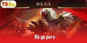 Đá gà peru