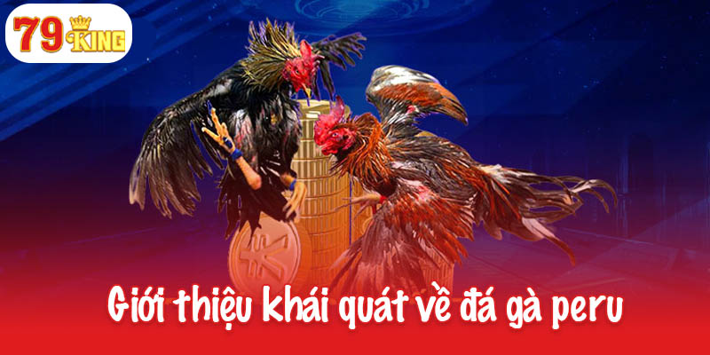Đá gà peru - Sự lựa chọn hàng đầu của các dân chơi cá cược 2 Giới thiệu khái quát về đá gà peru
