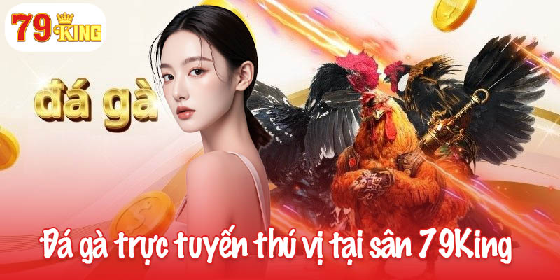 79KING 43 Đá gà trực tuyến thú vị tại sân 79King